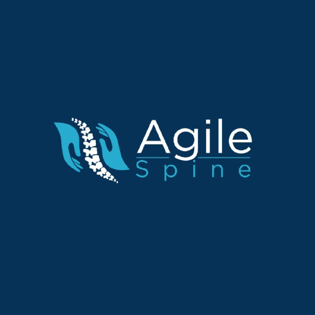 Agile Spine Basic Logo Package